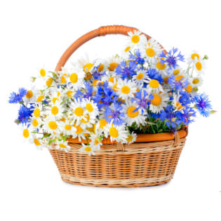 Цветы в корзинке «Весенний луг»