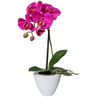 Орхидея в горшке "Фиолетовая"